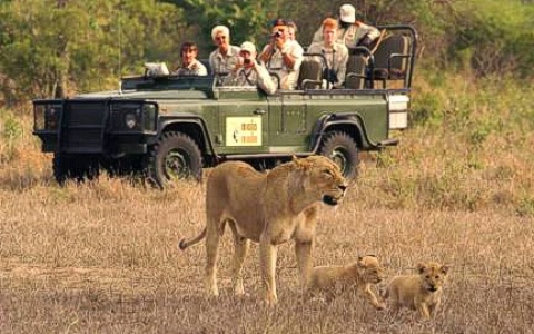 3-Day Safari to Etosha National Park, Namibia Namibia