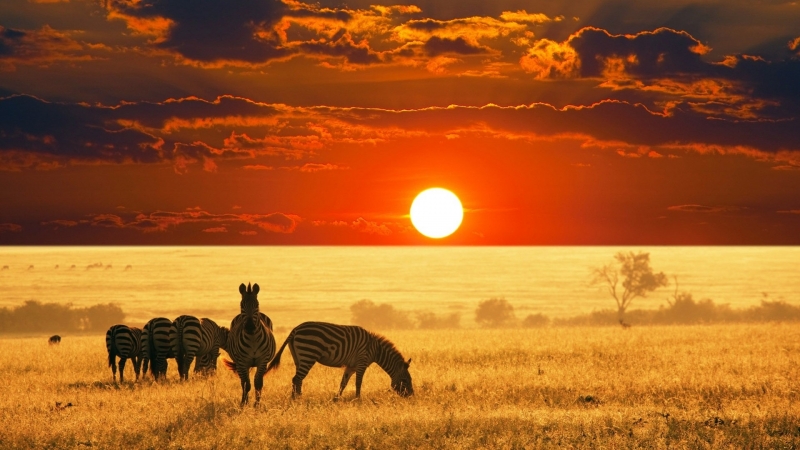 6-Day Tanzania Big 5 Safari Namibia